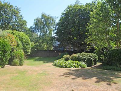 Picture 10